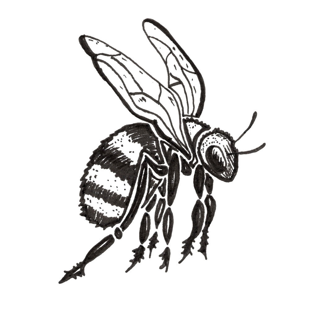 2026_Bee-Sq