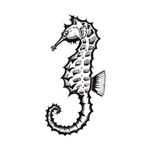 2026 Seahorse